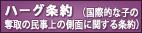 ハーグ条約