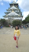 Castillo de Osaka